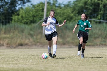 Bild 93 - wBJ TuRa Meldorf/Buesum - JFV Luebeck : Ergebnis: 1:0